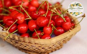 Zagare E Limoni