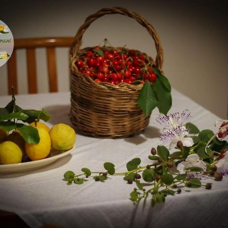 Appartement Zagare E Limoni à Ostuni Extérieur photo
