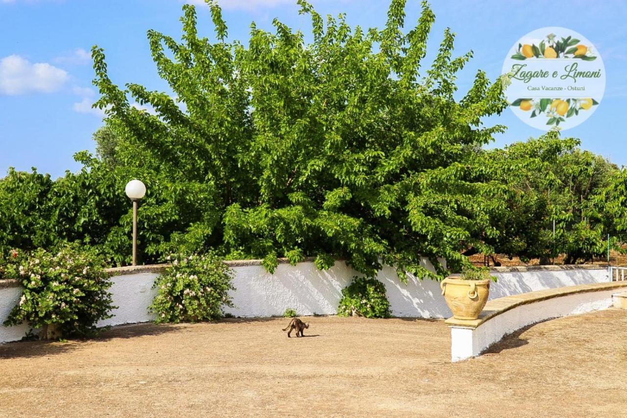 Appartement Zagare E Limoni à Ostuni Extérieur photo